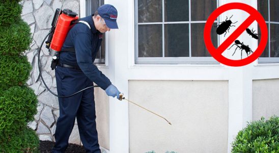 Çine Karınca İlaçlama böcek ilaçlama ve haşere kontrolü — ilaclama-tr.com